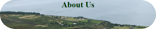 About Us