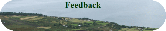Feedback